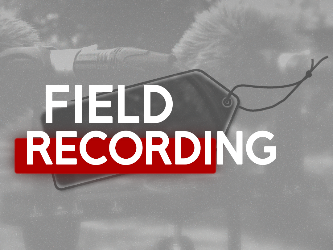 Field Recording
